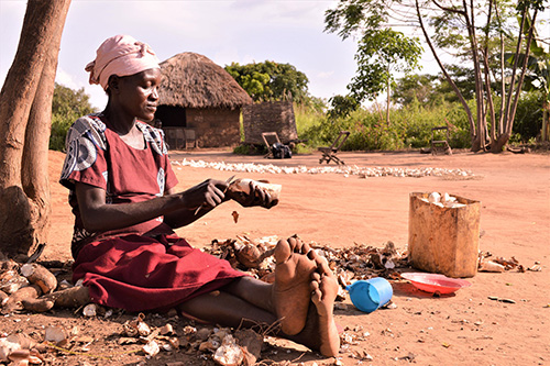 Florence at Terrewode.