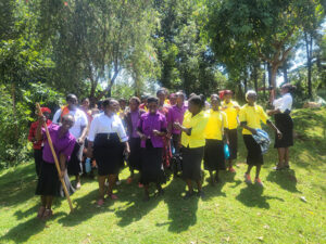 First Quarter Programming Update